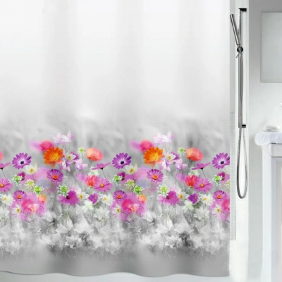 Полноразмерное изображение