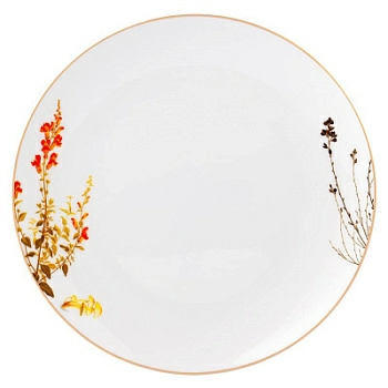 Полноразмерное изображение